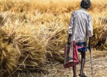 Ironi Kelimpahan Pangan di Tengah Jurang Kelaparan Indonesia