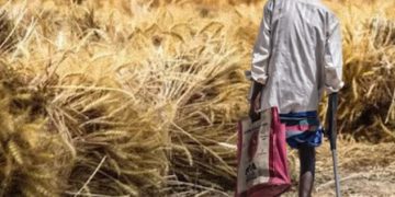 Ironi Kelimpahan Pangan di Tengah Jurang Kelaparan Indonesia