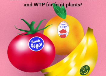 Text vs. Logo: Does Eco-Label Format Influence Consumers’ Visual Attention and Willingness-to-Pay for Fruit Plants?