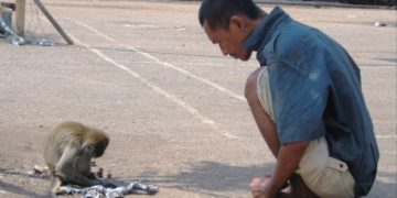 Heaven for Insanity: Rights of the Mentally Ill